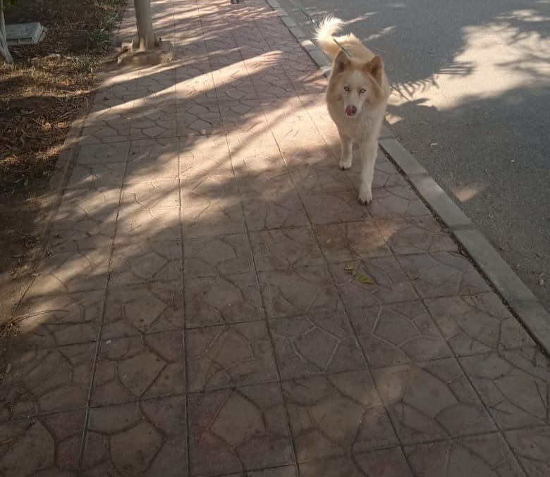 WhatsApp Image 2026-04-18 at 2.55.09 PM