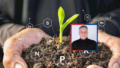 7 خدمات تقدمها العلوم النووية لتعزيز الأمن الغذائي ومواجهة أزمة الجوع العالمية