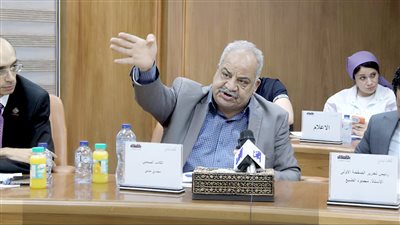 مجدي حلمي: ملف حقوق الإنسان في مصر يتأرجح بين الإنجازات والتحديات