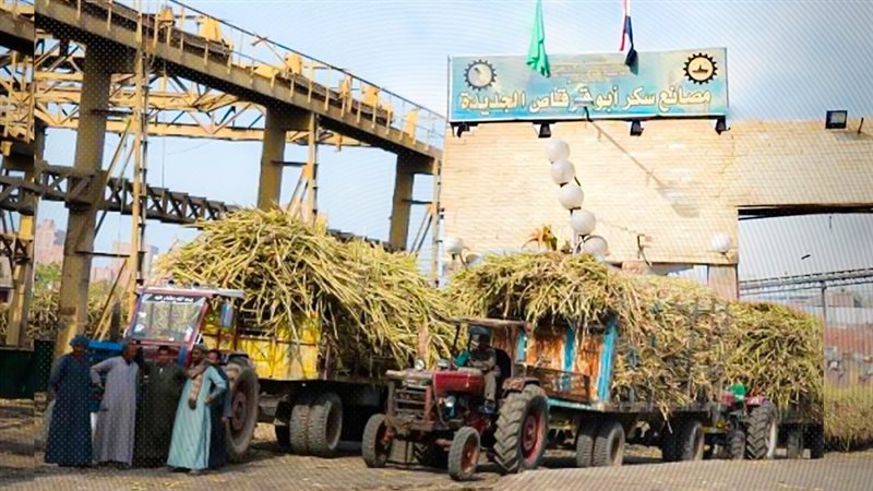 موقع الصفحة الأولى