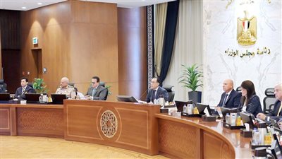 غدا.. أول اجتماع لـ رئيس الوزراء مع «اللجان الاستشارية المُتخصصة»