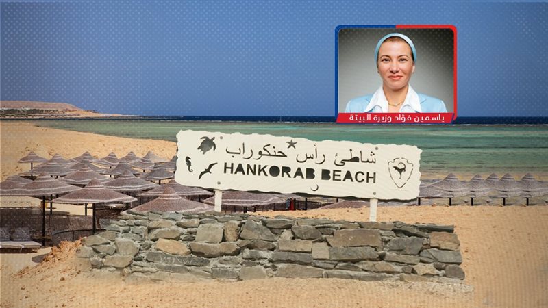 موقع الصفحة الأولى