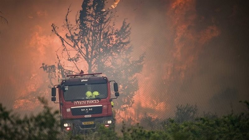 موقع الصفحة الأولى