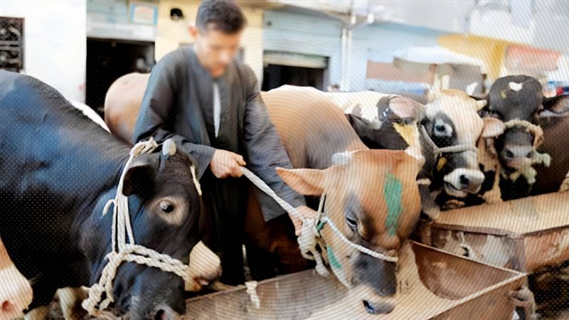 موقع الصفحة الأولى