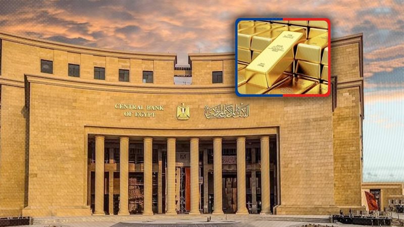 موقع الصفحة الأولى