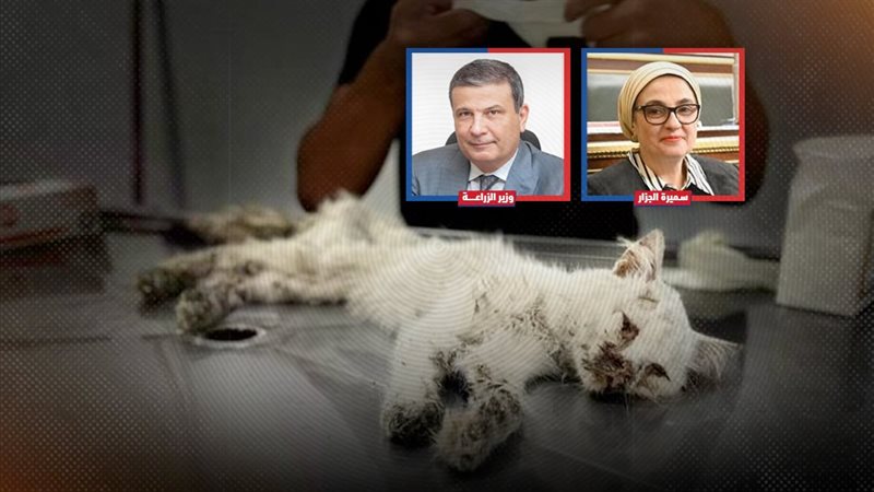 موقع الصفحة الأولى