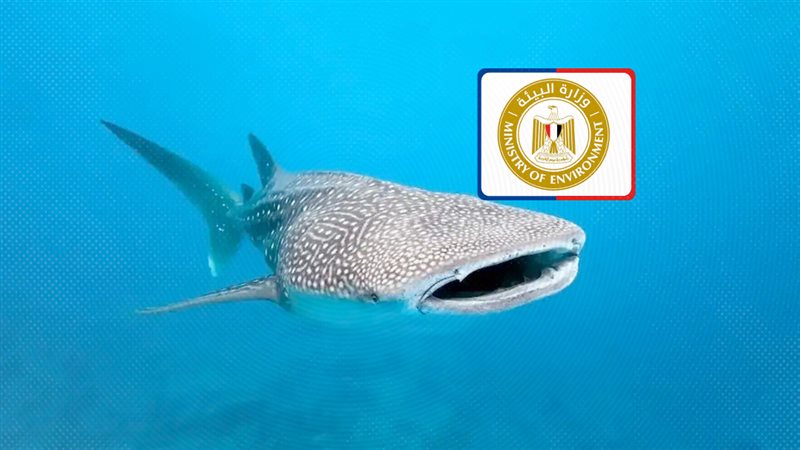 موقع الصفحة الأولى