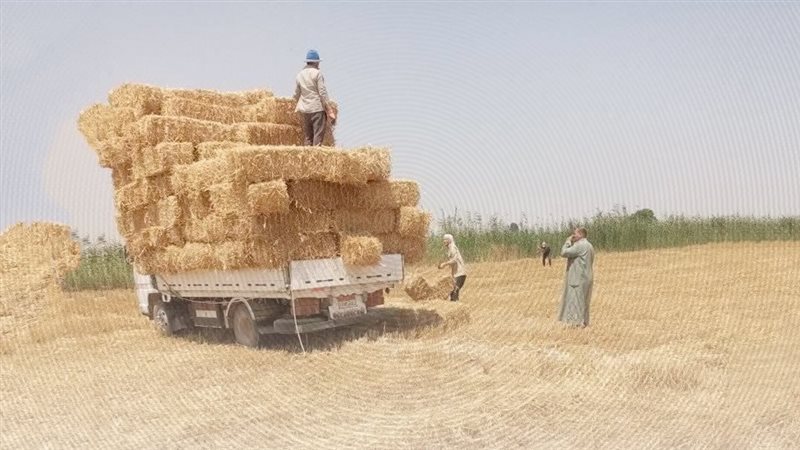 موقع الصفحة الأولى