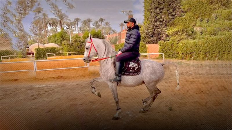 موقع الصفحة الأولى