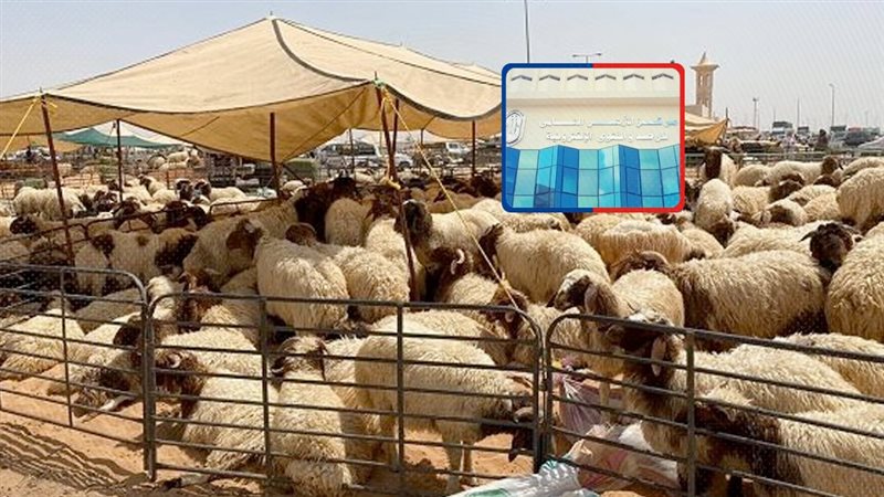 موقع الصفحة الأولى