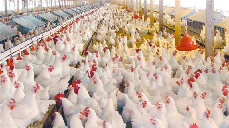 موقع الصفحة الأولى