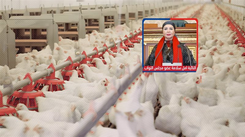 موقع الصفحة الأولى