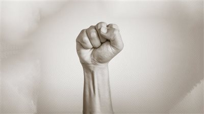 الدكتور عادل المسلمانى يكتب : بصراحة