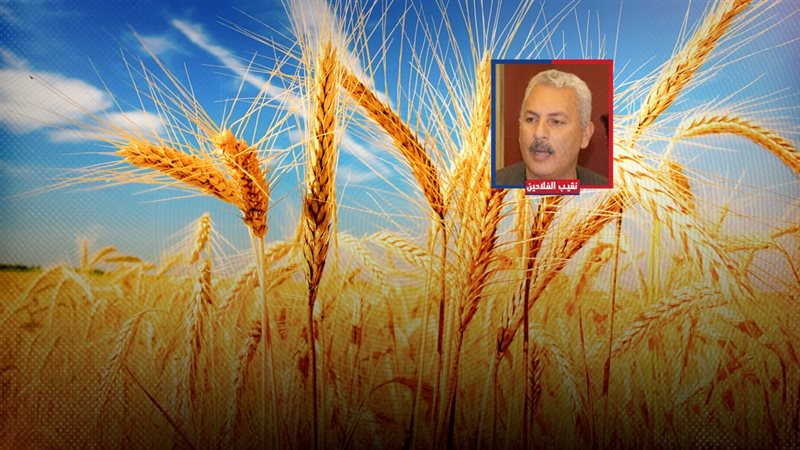 موقع الصفحة الأولى