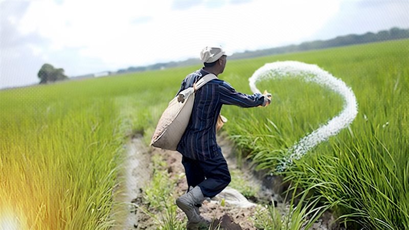 موقع الصفحة الأولى