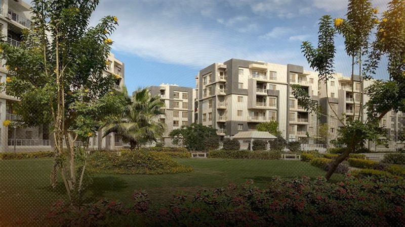 موقع الصفحة الأولى