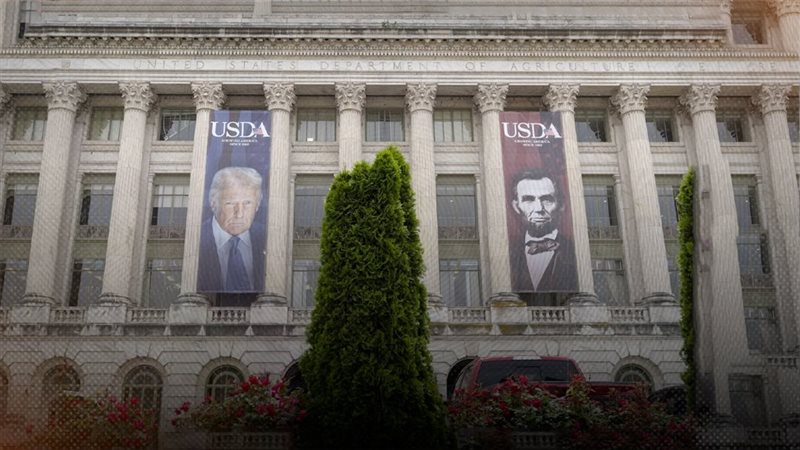 موقع الصفحة الأولى