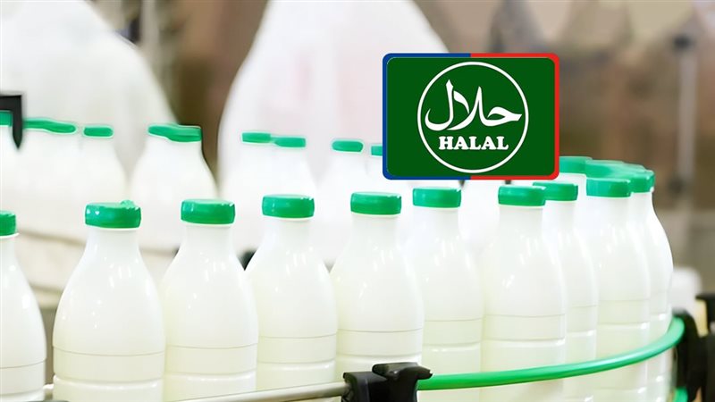 موقع الصفحة الأولى