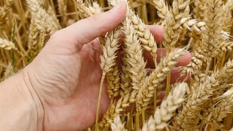 موقع الصفحة الأولى