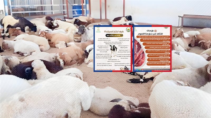 موقع الصفحة الأولى