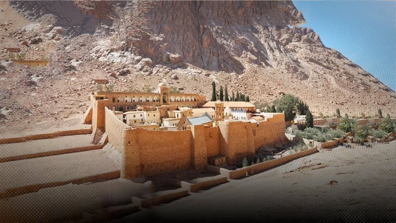 موقع الصفحة الأولى
