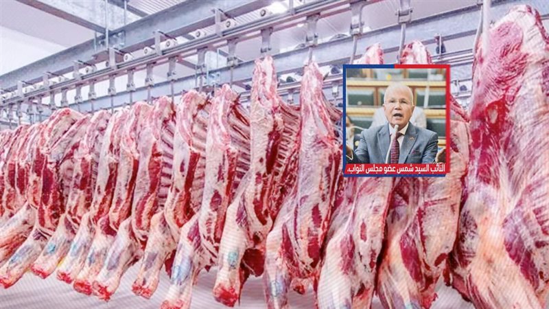 موقع الصفحة الأولى