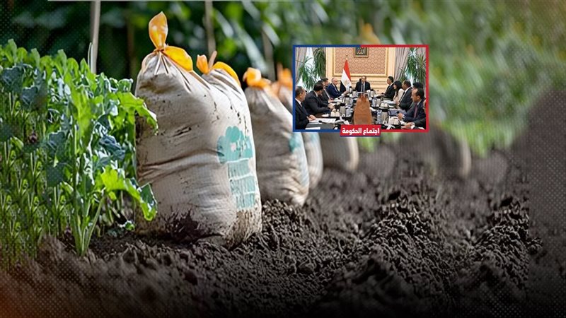 موقع الصفحة الأولى