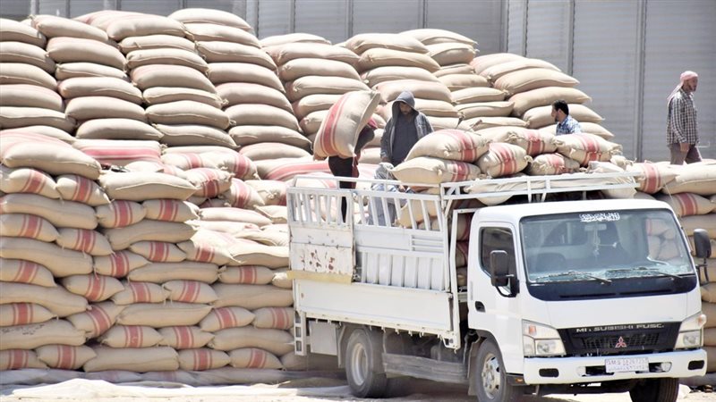 موقع الصفحة الأولى