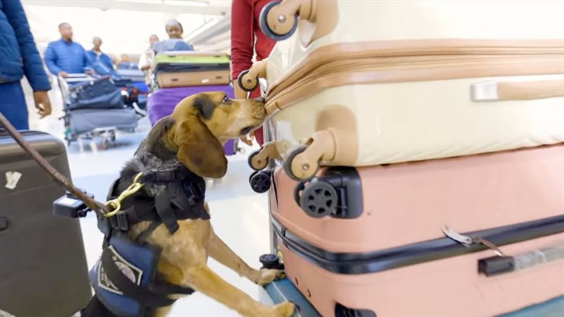 موقع الصفحة الأولى