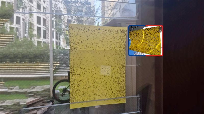 موقع الصفحة الأولى