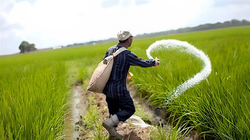 موقع الصفحة الأولى