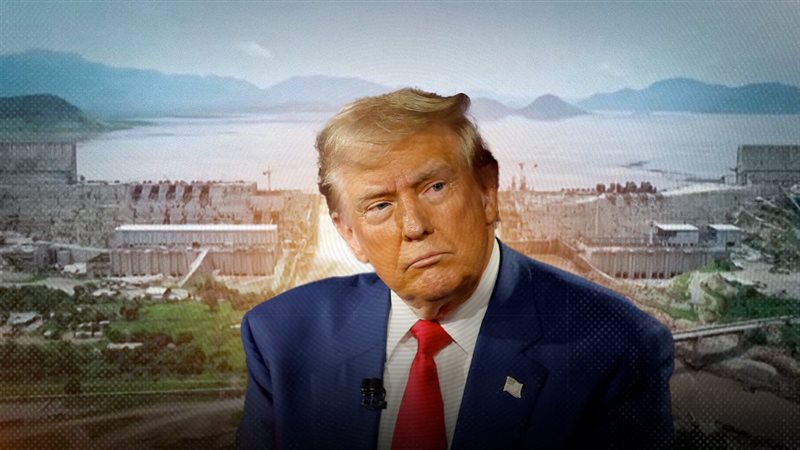 موقع الصفحة الأولى