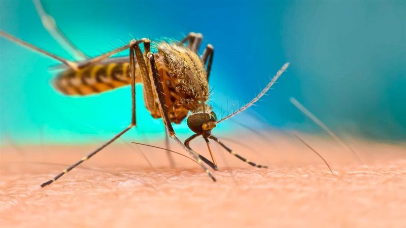 موقع الصفحة الأولى