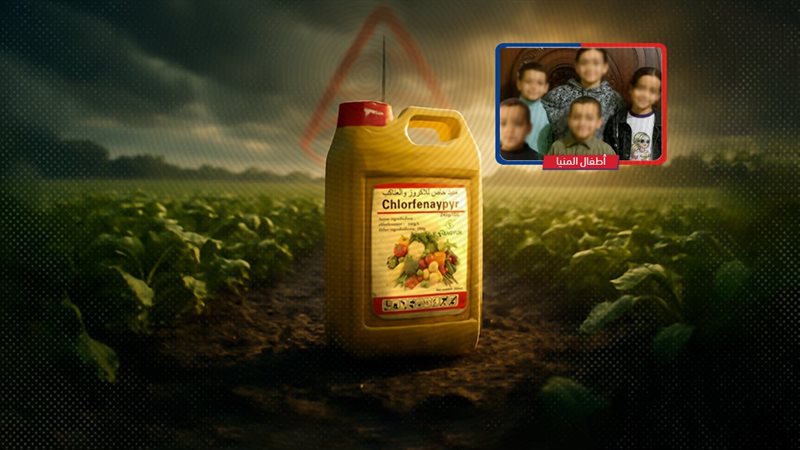 موقع الصفحة الأولى