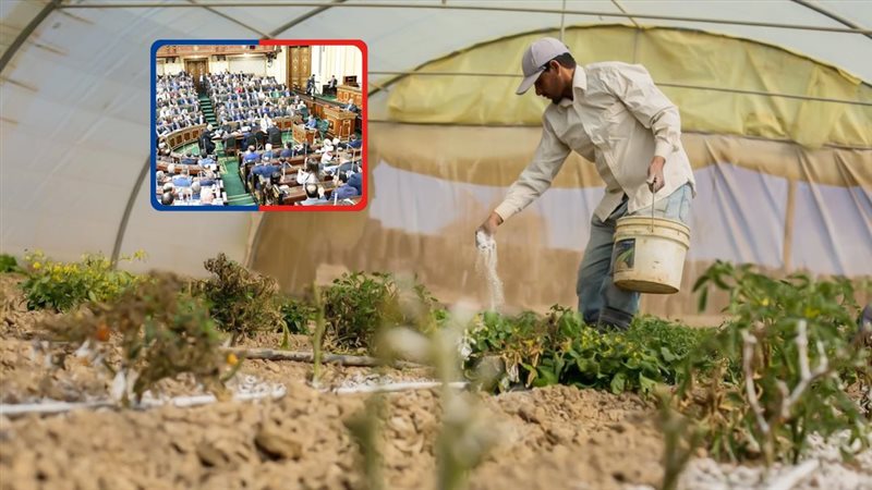 موقع الصفحة الأولى