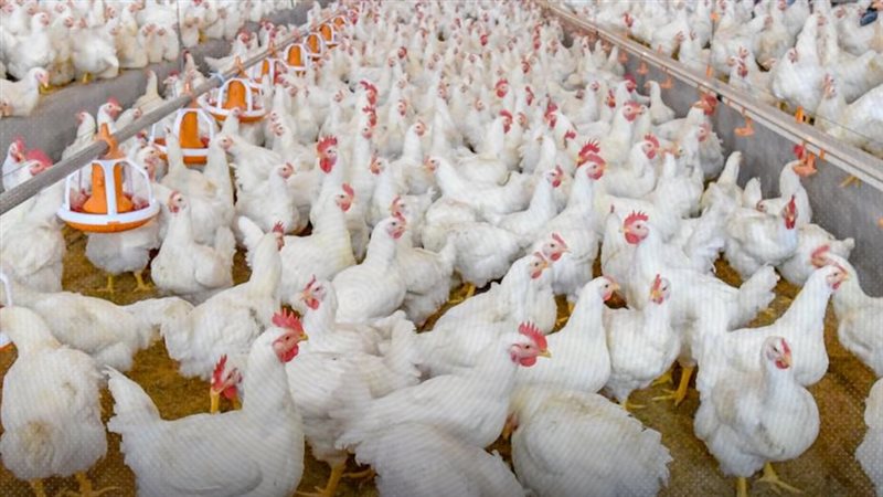 موقع الصفحة الأولى