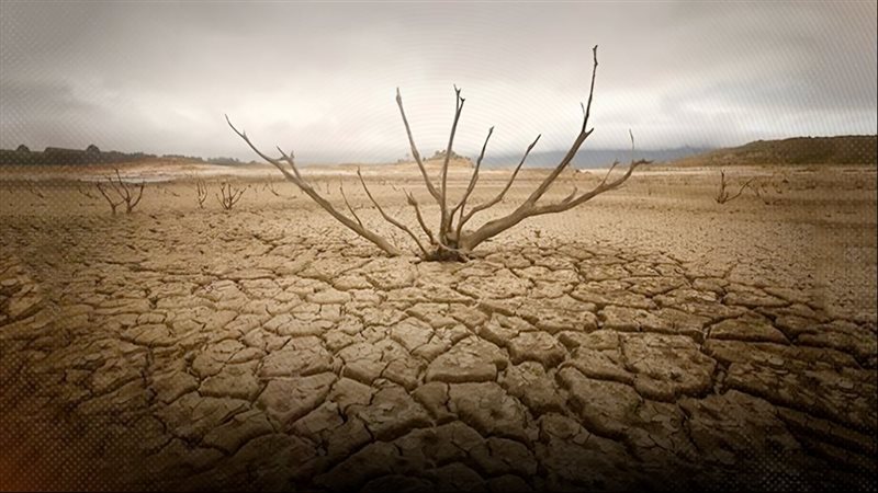 موقع الصفحة الأولى