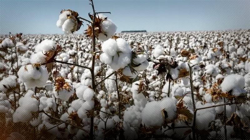 موقع الصفحة الأولى