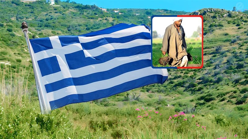 موقع الصفحة الأولى