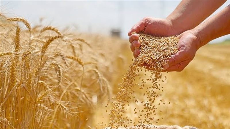 موقع الصفحة الأولى