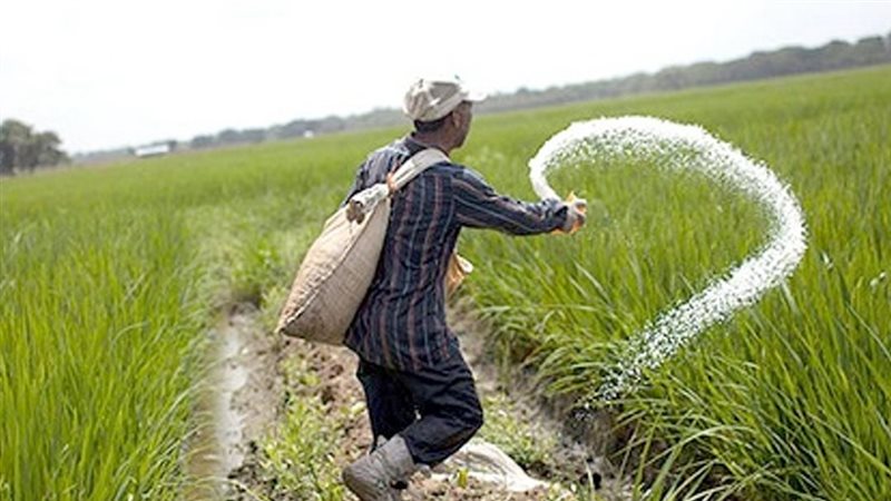 موقع الصفحة الأولى