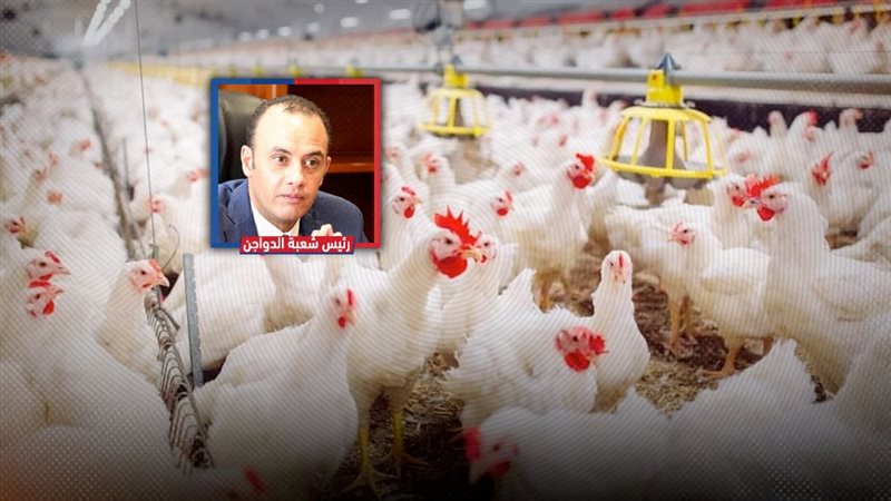 موقع الصفحة الأولى