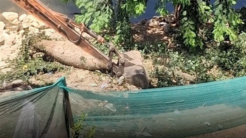 موقع الصفحة الأولى