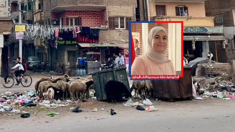 موقع الصفحة الأولى