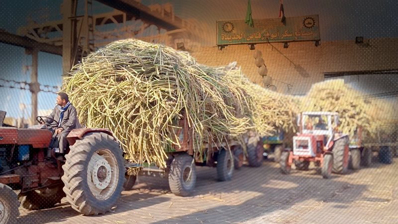 موقع الصفحة الأولى