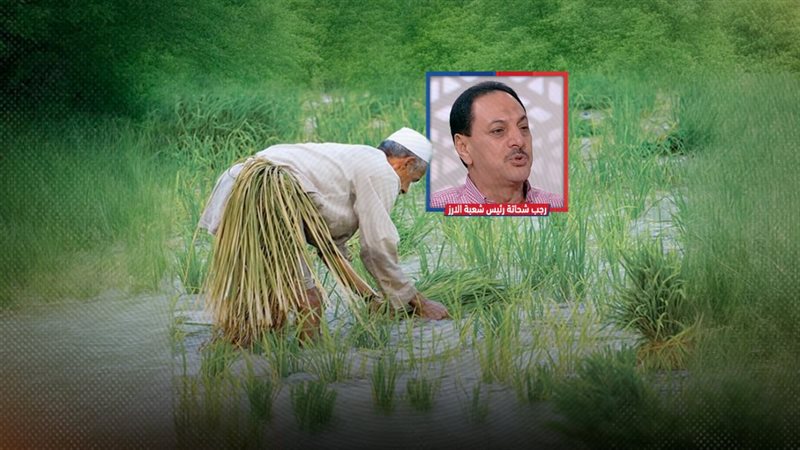 موقع الصفحة الأولى