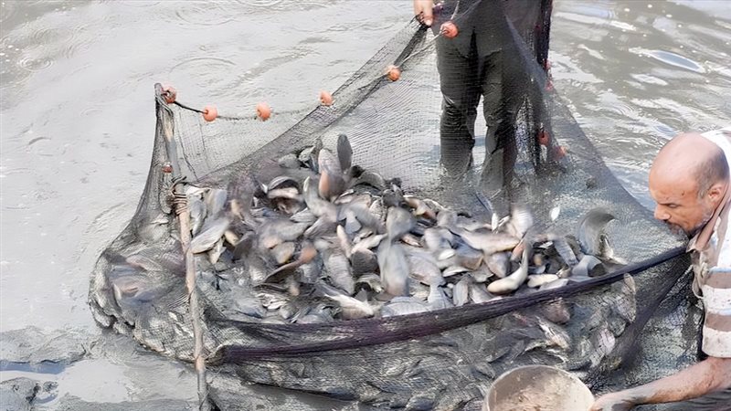 موقع الصفحة الأولى