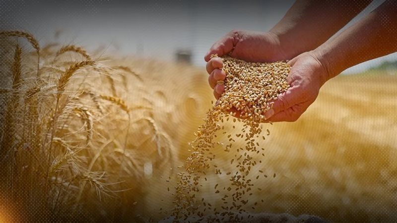 موقع الصفحة الأولى