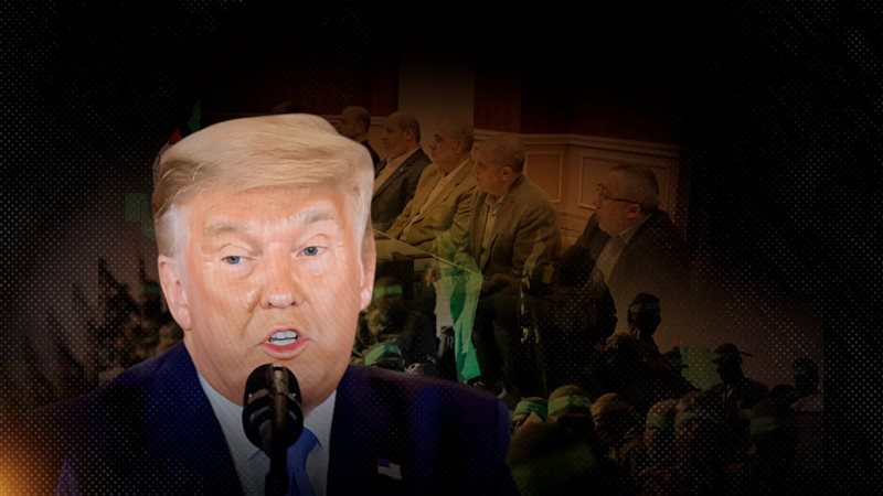 موقع الصفحة الأولى