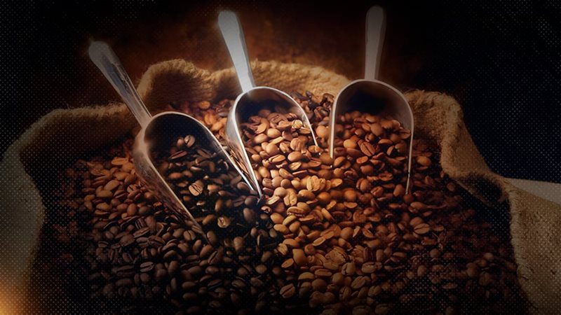 موقع الصفحة الأولى